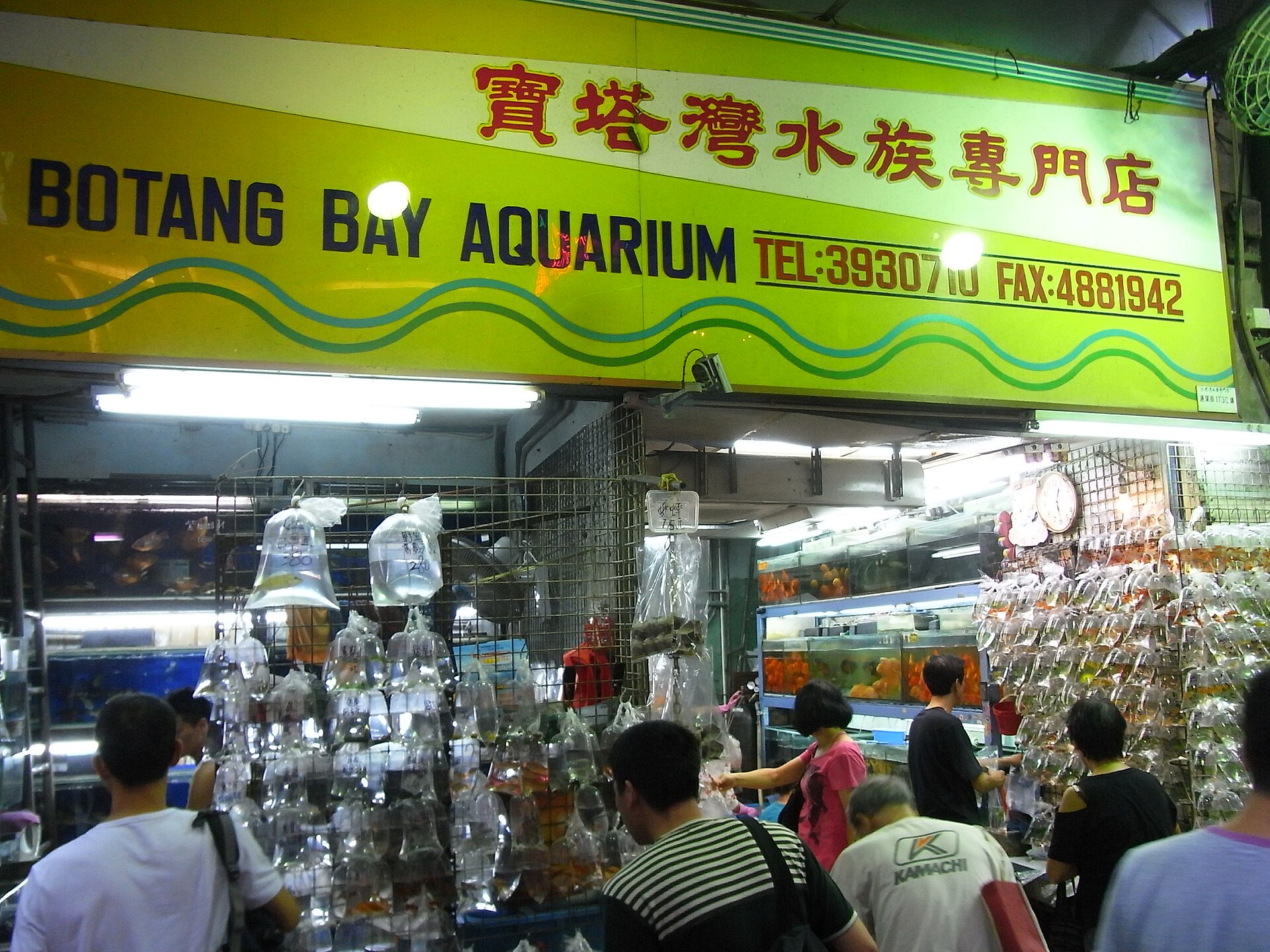 How to Prevent Fish Jumping Out